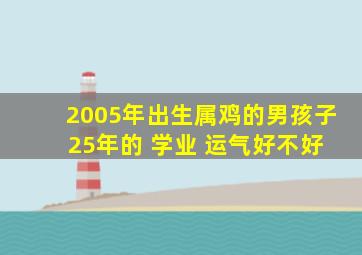 2005年出生属鸡的男孩子 25年的 学业 运气好不好